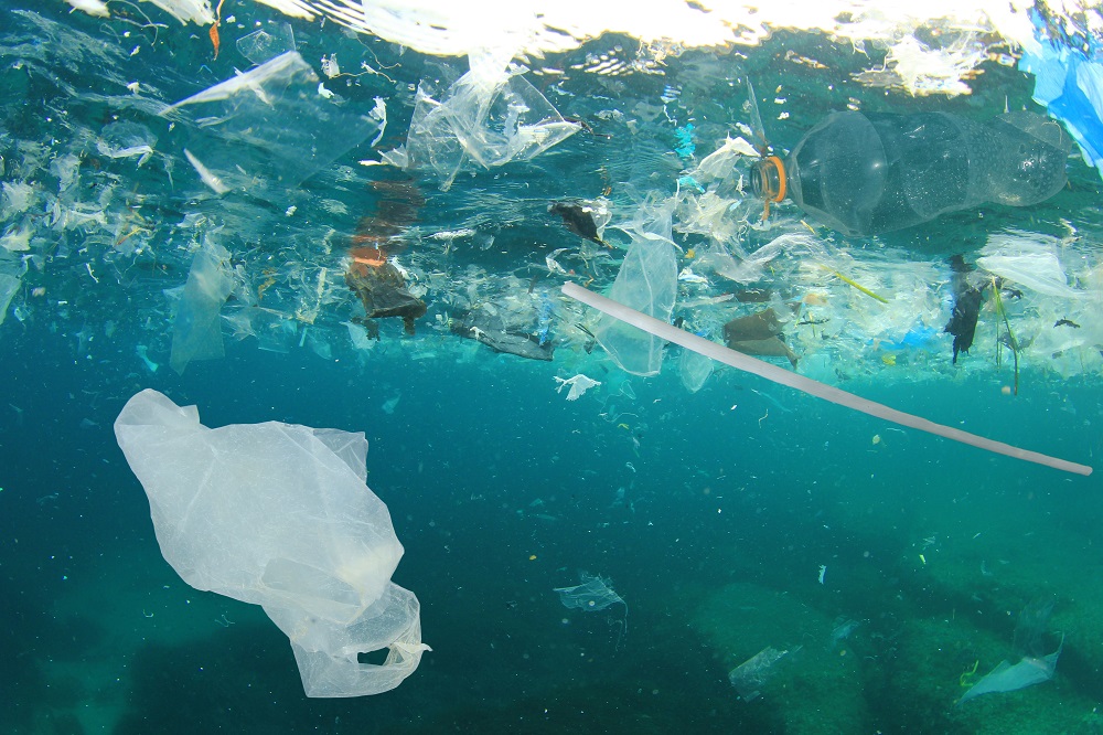 Plastic litter under sea water.